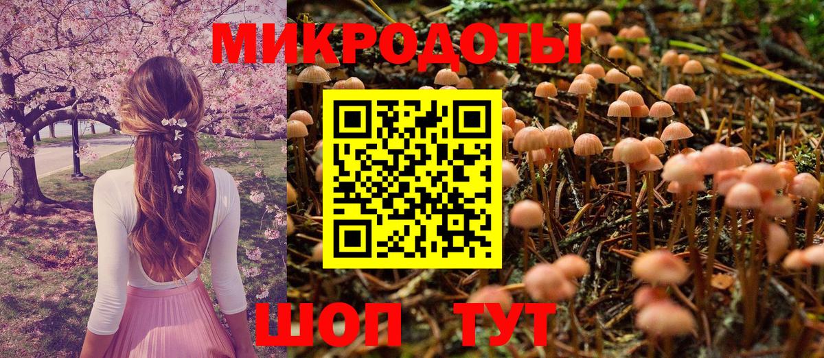 Галлюциногенные грибы мицелий  Псилоцибиновые грибы Psilocybe  Вход с VPN  Вязьма 
